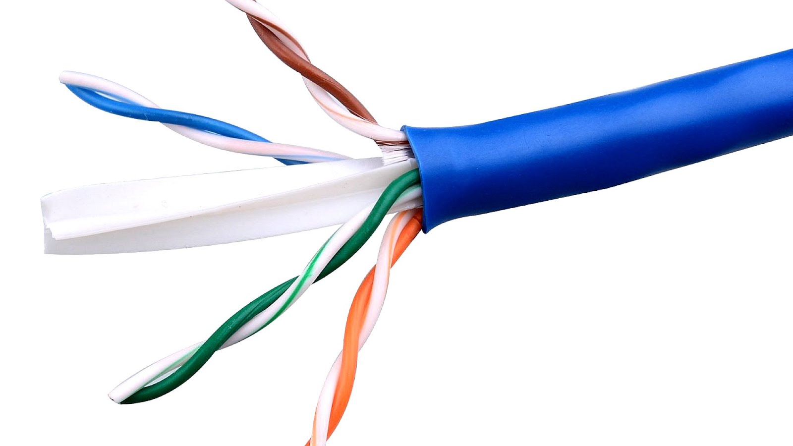 Category 6 cable Cat Choices