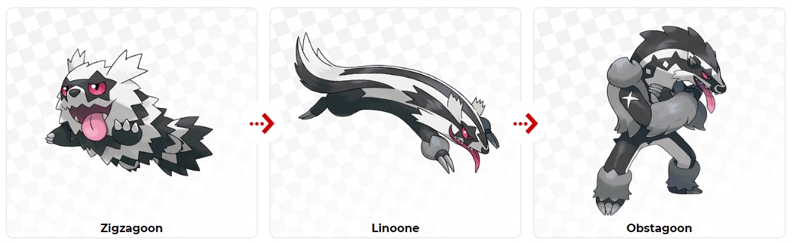 pokemon sapphire zigzagoon evolution pokemon sapphire zigzagoon evolution