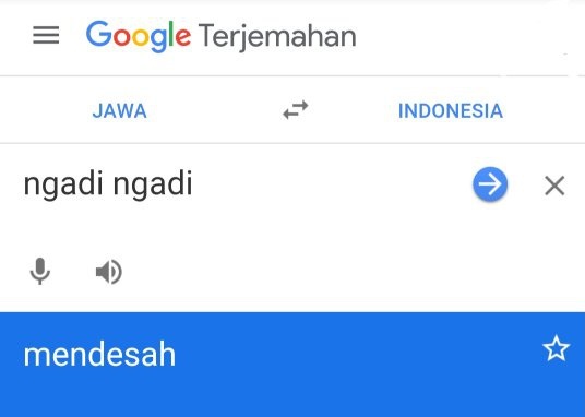 Cara Google Translate Mendapatkan Uang Untuk Google Id Harvest