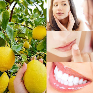  salah satu jenis jeruk yang sering digunakan untuk bahan perawatan kecantikan adalah lemo Manfaat Lemon Untuk Kecantikan Kesehatan Wajah, Bibir, & Gigi
