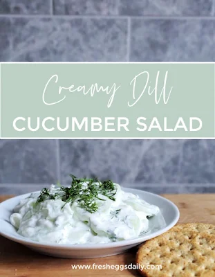 creamy dill cucumber salad