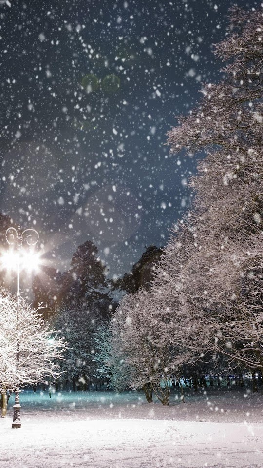 Falling Snow Trees Night  Android Best Wallpaper