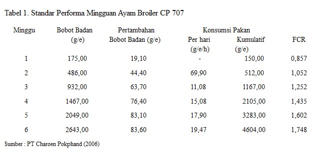 Standar dan Cara menghitung FCR Ayam Broiler Standar dan Cara menghitung FCR Ayam Broiler