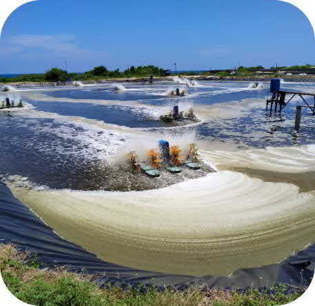 Lowongan Kerja/Magang Full Remote Front-end Developer (Sgara.id)