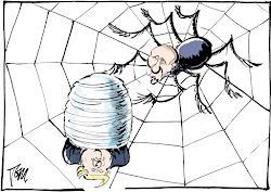 spider fly jobsanger cartoon