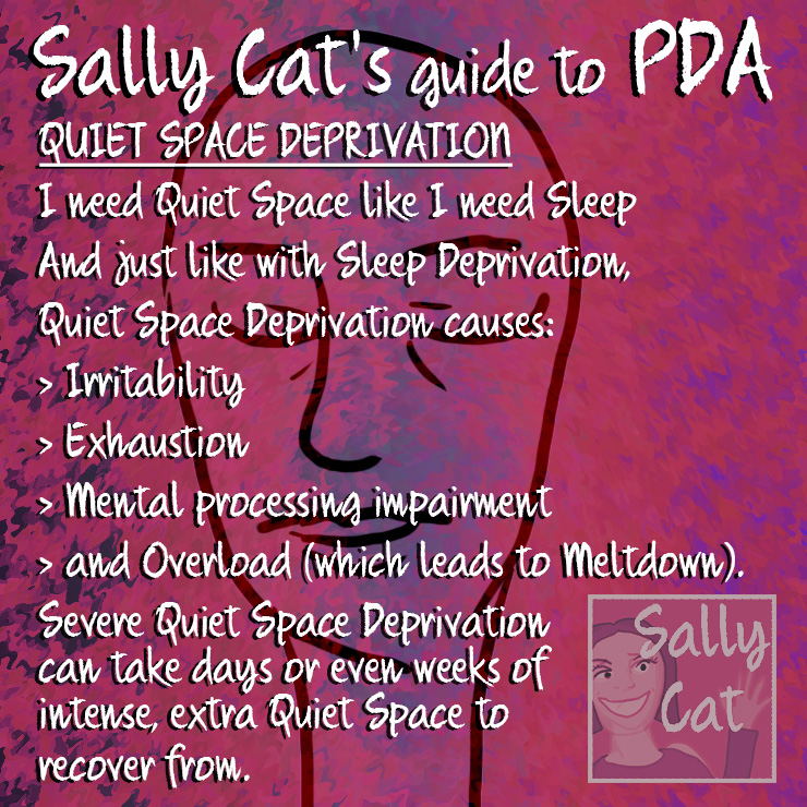Sally Cat PDA What is PDA?