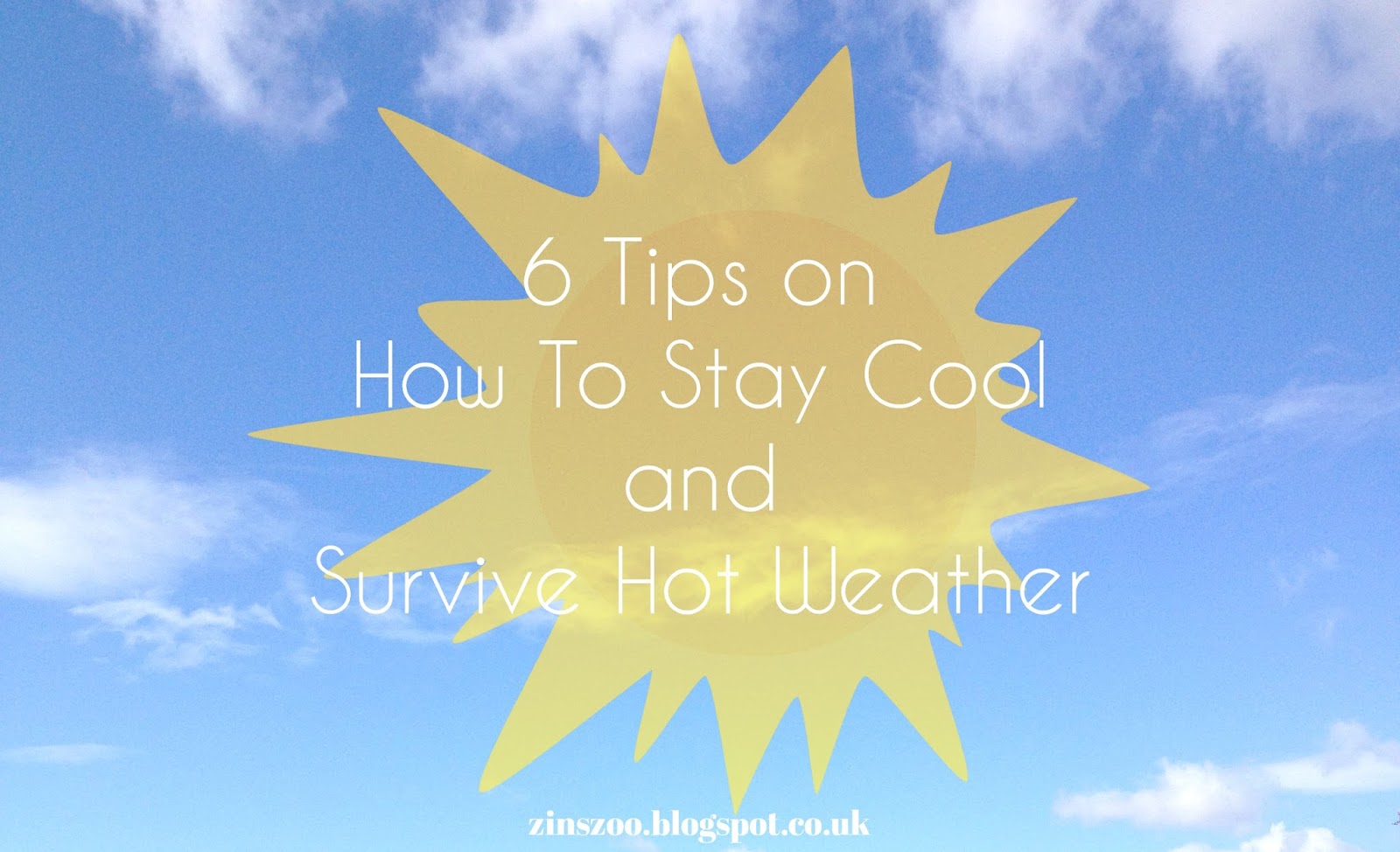 Zin's Zoo 6 Tips on How To Keep Cool and Survive Hot Weather