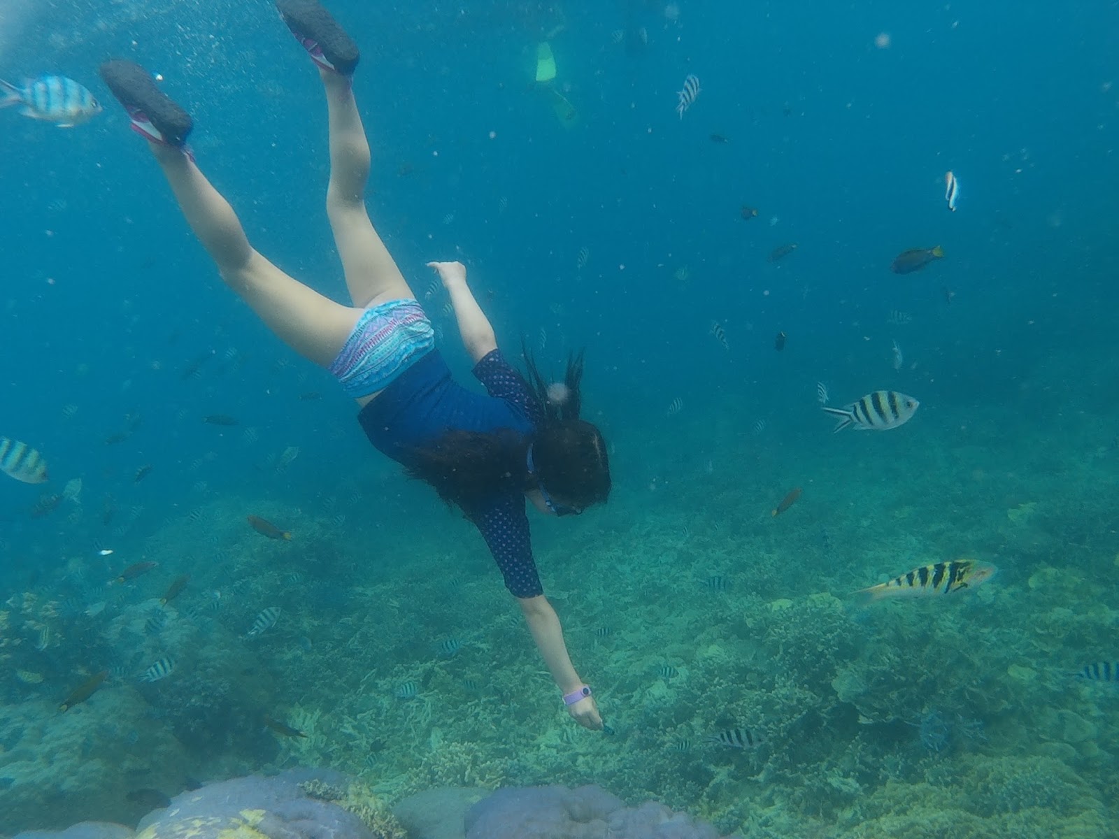 Movenpick Maldives Resort снорклинг
