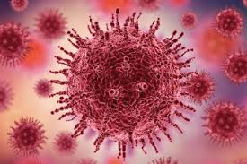 فيروس كورونا،بحث عن فيروس كورونا،كورون،الفيروس التاجي،تطور كورونا