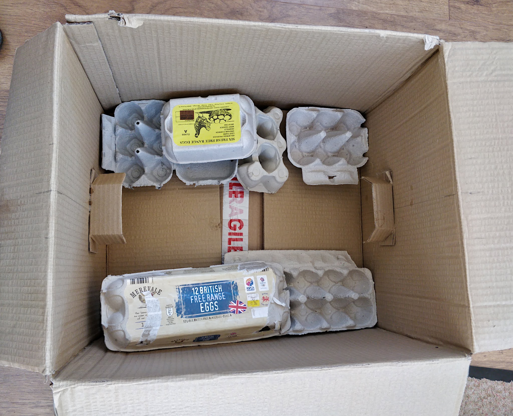 Captain Bodgit My 'Cardboard Box' Moth Trap