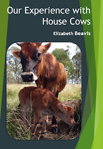 house cow ebook