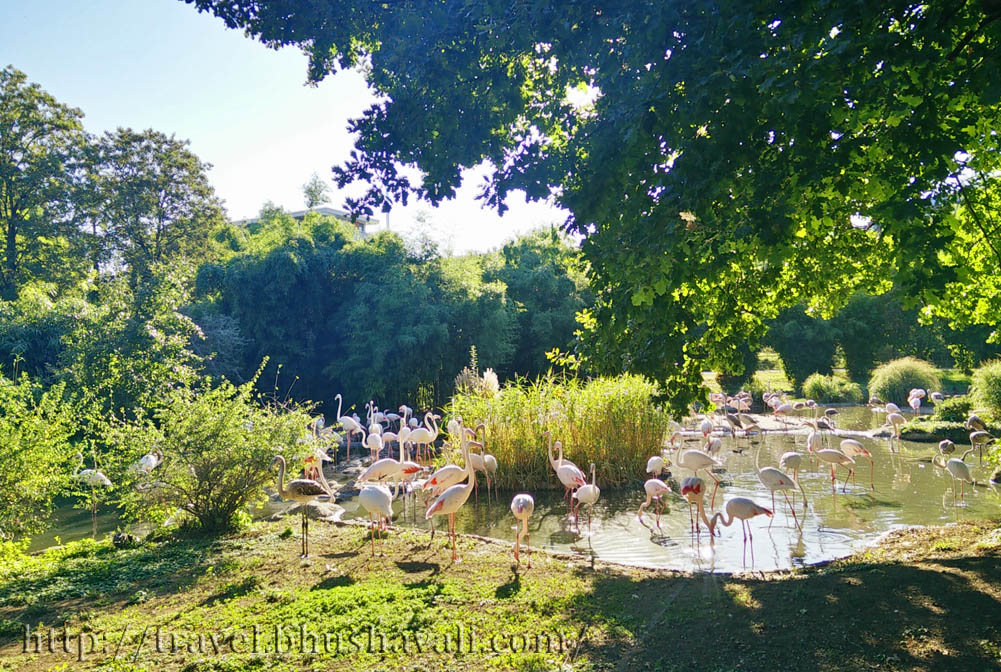 Basel Zoo (Basel Switzerland) My Travelogue