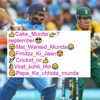 Instagram bio for cricket lovers