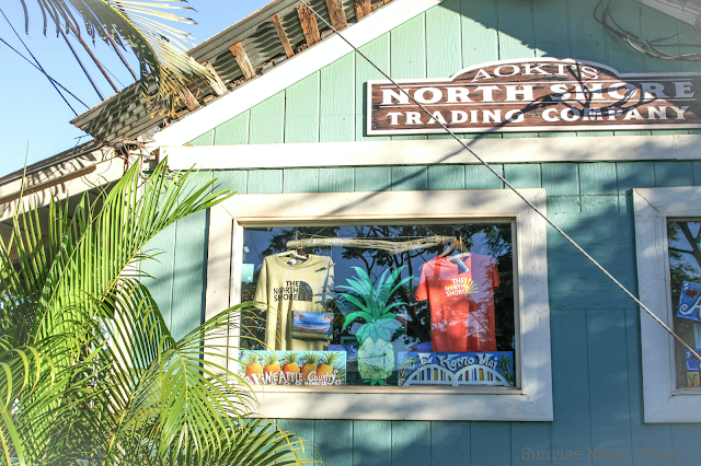 haleiwa,oahu,hawaii,north shore,city guide,visite privée,beach life