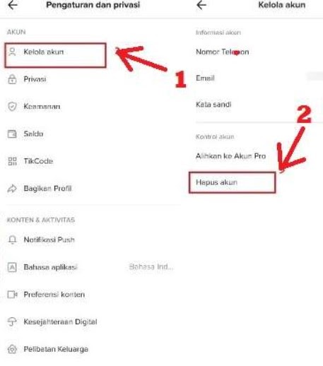 Cara Menghapus Akun Tiktok Lite Permanen Mudah Area Tekno