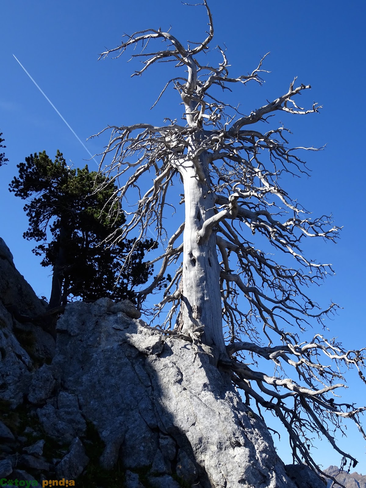 Peña Foratata Occidental