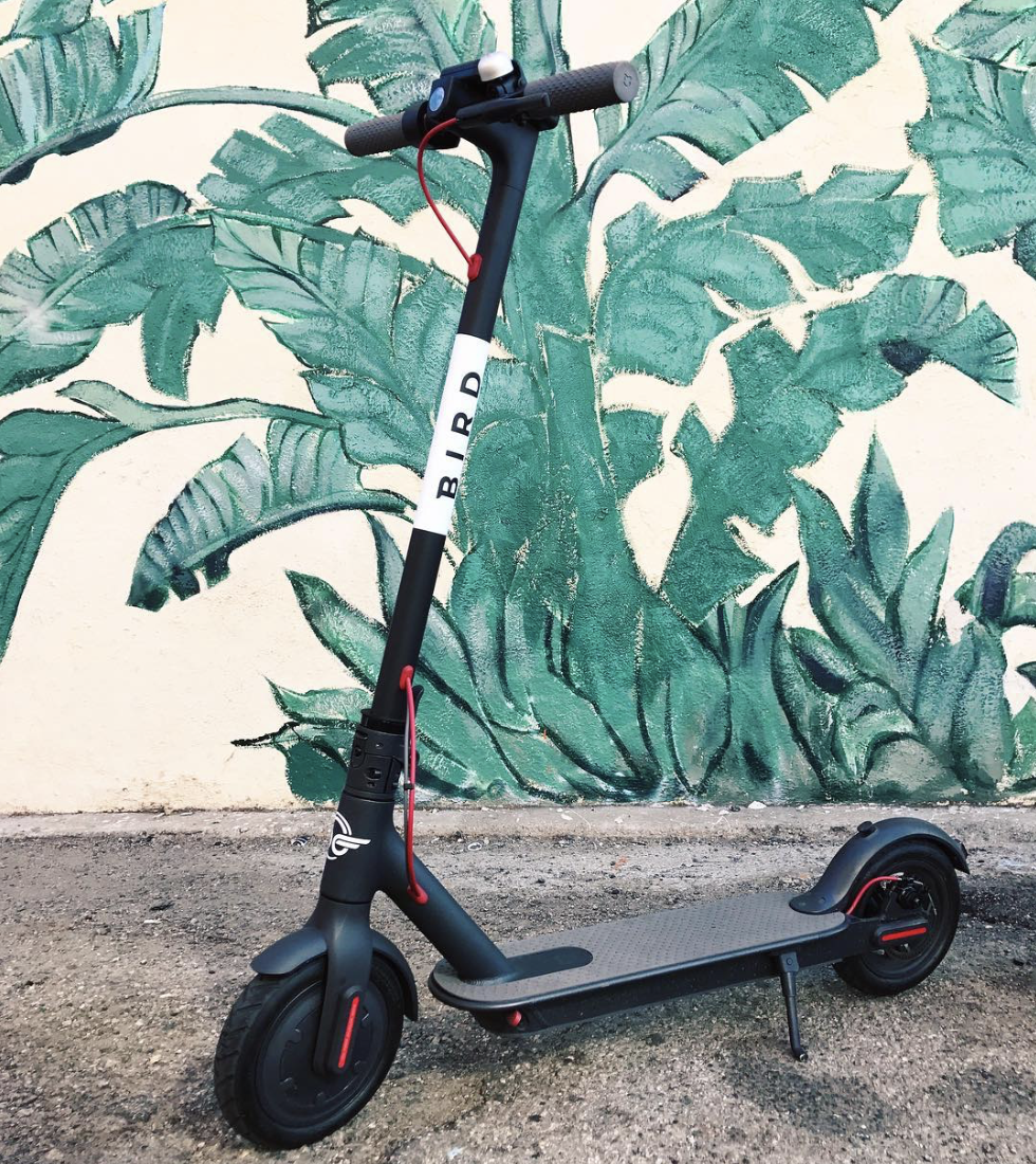 SanDiegoVille Electric Scooters Sharing Startup "Bird" Lands In San Diego
