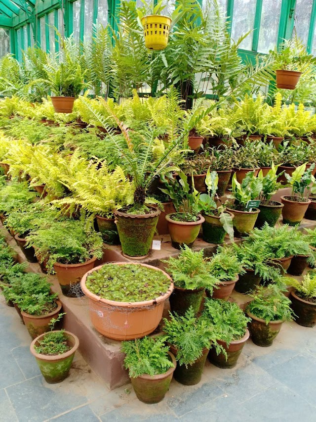 The Mother Nature - What we are missing in our daily life??