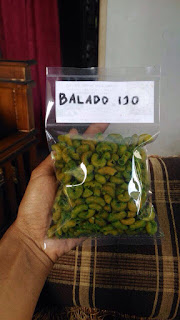 Makaroni Mang Atang Khas Tasikmalaya Super Enak