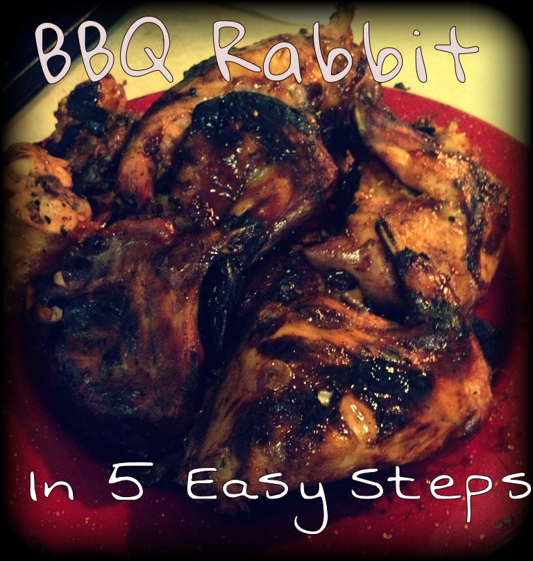 Be the Change (Perseverance 3:10): 5 Step BBQ Rabbit