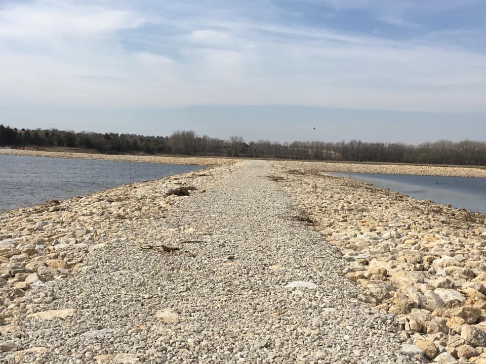 Esa's Birds in Nebraska Conestoga Lake