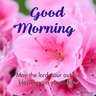 good morning wishes in english with flowers