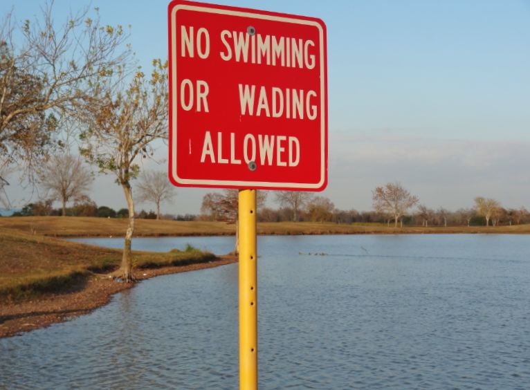 HTownWest Photo Blog Duck traffic control Pics of ducks and duck