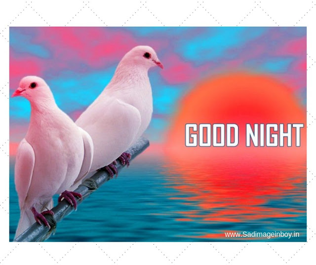 good night images h d download For HD good night images h d download For HD
