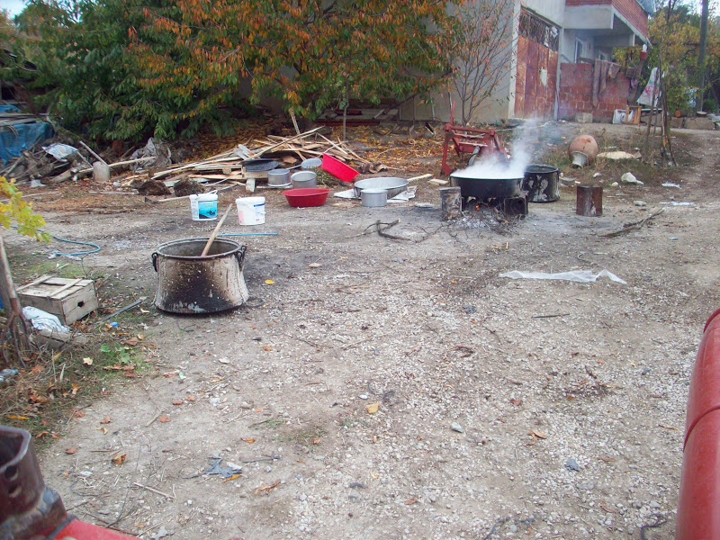 Taraklı Akçapınar Köyü Web Sitesi