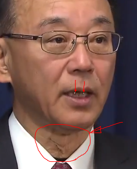 旧宇宙への旅立ち 読者による転載 谷垣禎一法務大臣のキモい爬虫類人シェイプシフト