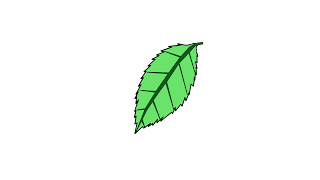 Leaf Picture free download
