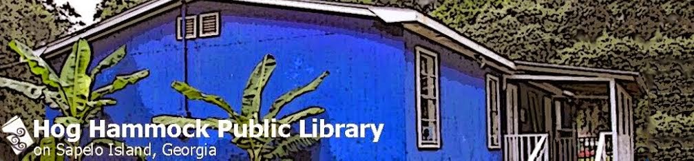 Hog Hammock Public Library