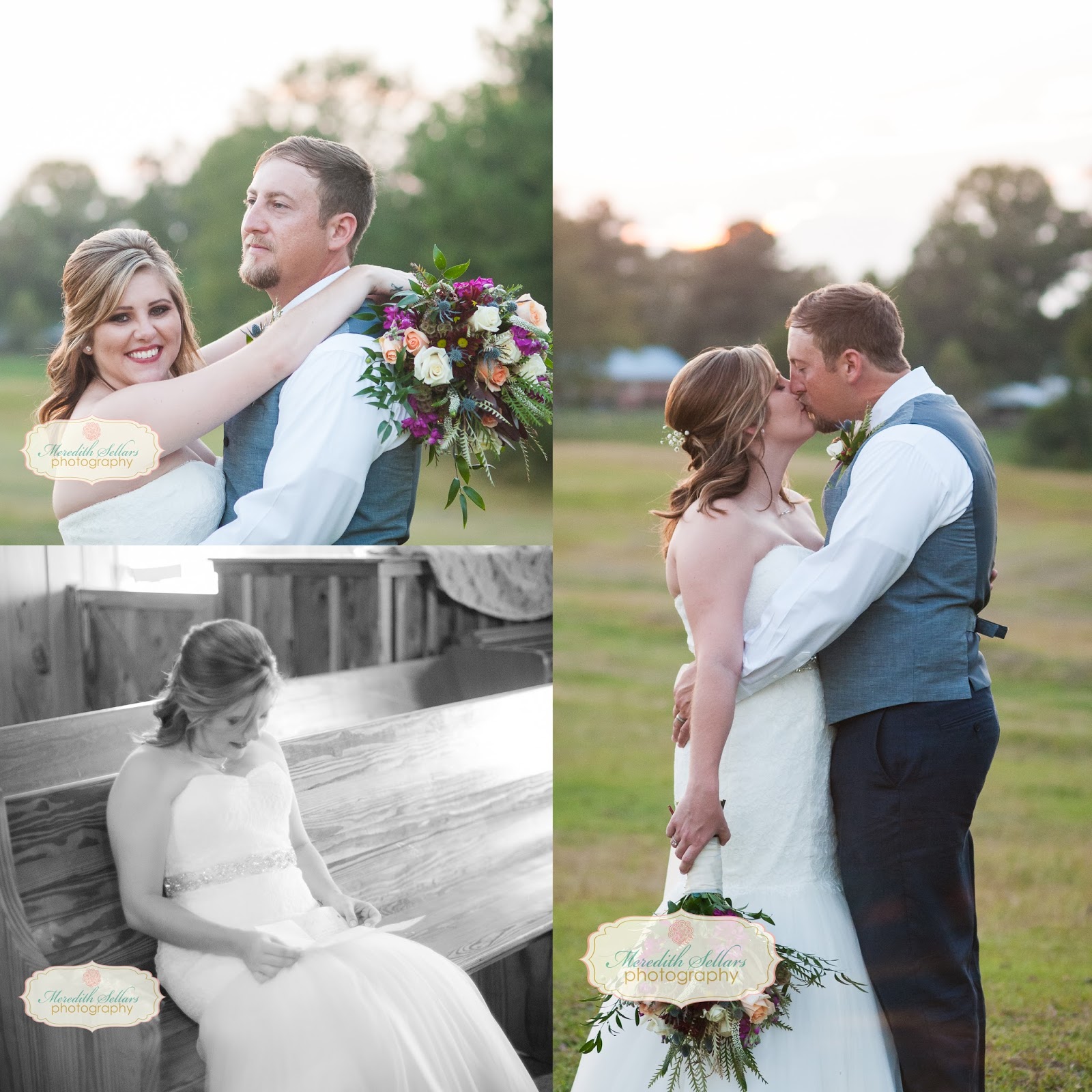 Meredith Sellars Photography