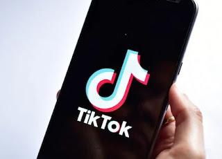 How To Download TikTok Video Without Watermark Using SnapTik