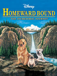 Walt Disney's Homeward bound
