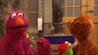 Telly, Baby Bear, parrot Ralphie, hamster Chuckie Sue, Sesame Street Episode 4401 Telly gets Jealous season 44