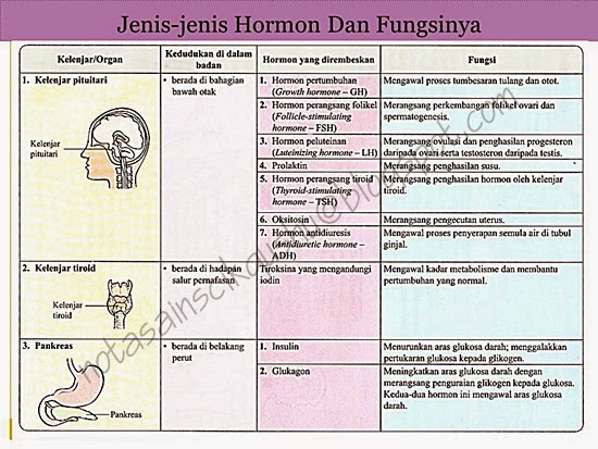 Nota Sains Tingkatan 4 Bab 2 | Nota Cikgu Shu