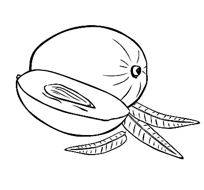 Stone Fruits Coloring Pages | Learn To Coloring