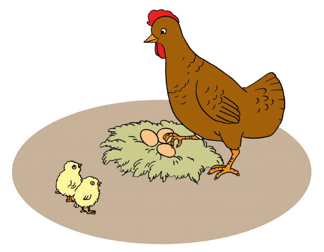 Anak Ayam (Halaman 26) BELAJAR KURIKULUM 2013
