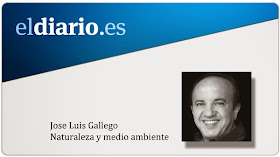 ELDIARIO.ES