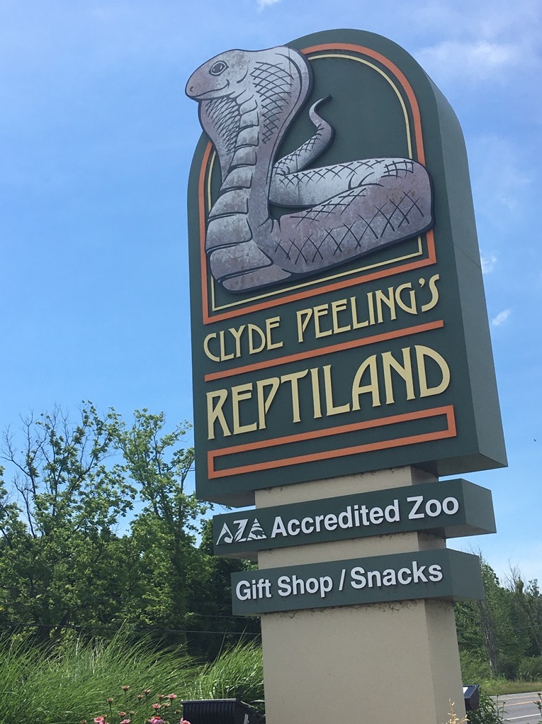 The Zoo Review Zoo Review Clyde Peeling's Reptiland, Part I