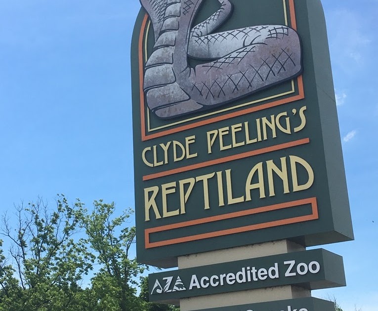 The Zoo Review Zoo Review Clyde Peeling's Reptiland, Part I