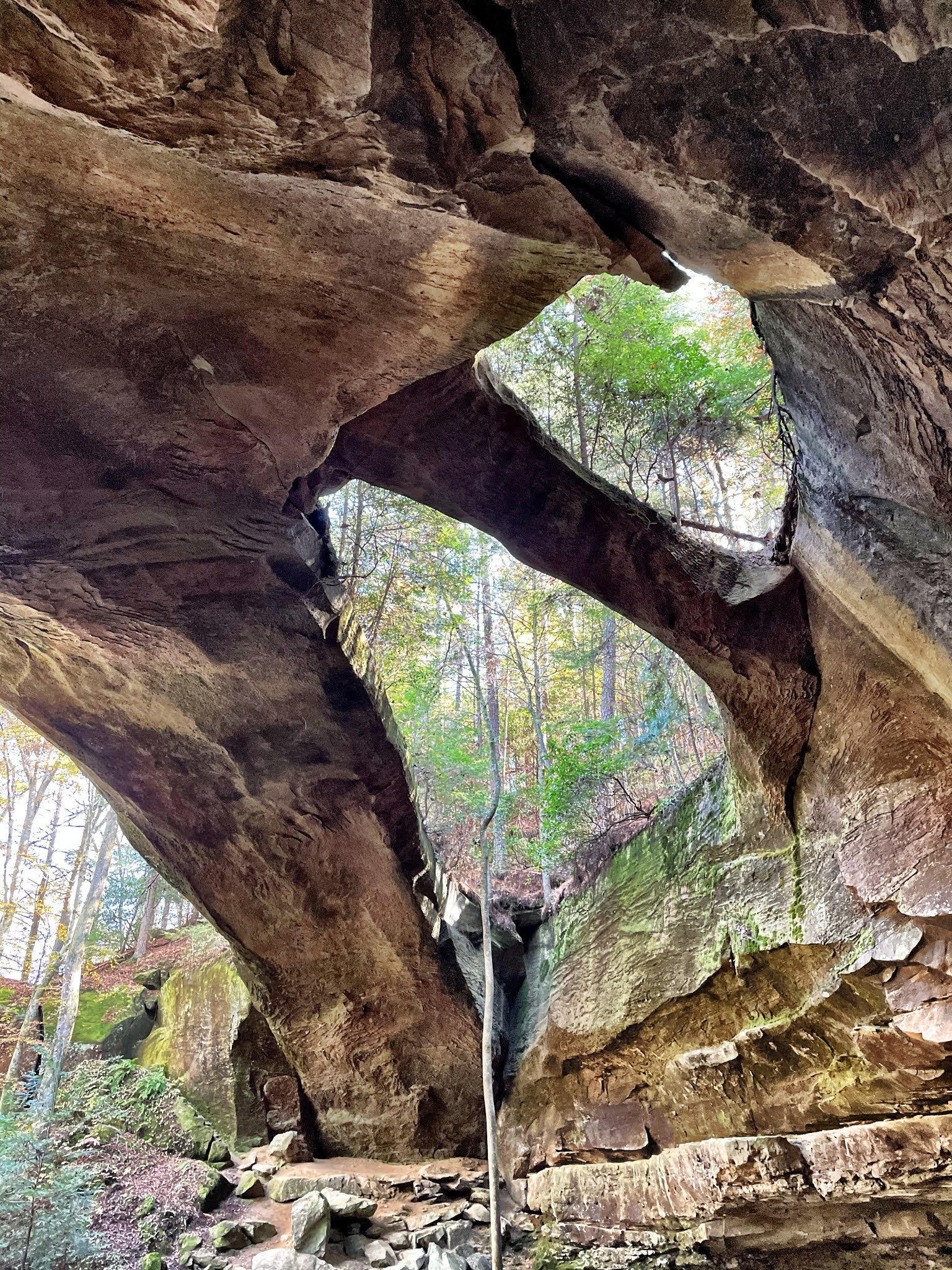 Where's Eldo? Things to do in Arley, AL...