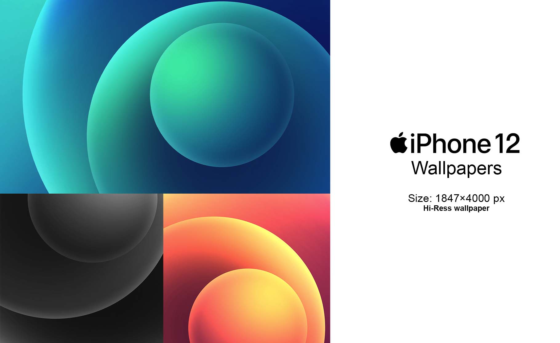 iPhone 12 Wallpapers Free Download