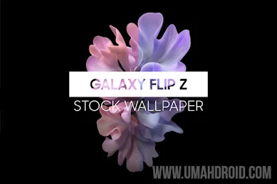 Wallpaper Samsung Galaxy Flip Z