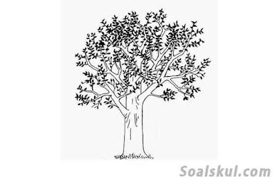 contoh gambar pohon 3