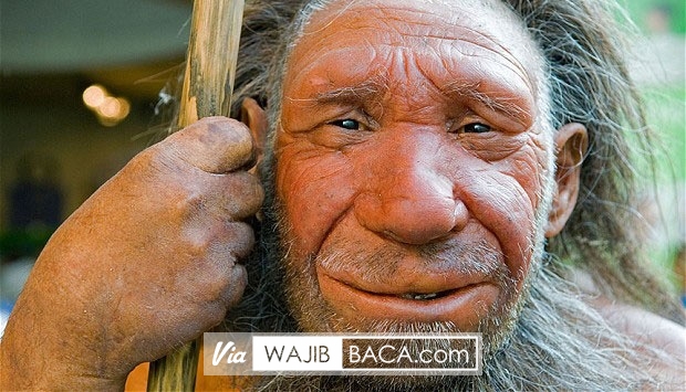 Bukan dari Dokter, Ternyata Manusia Purba Juga Mengenal Obat Sakit Gigi Lho! Bukan dari Dokter, Ternyata Manusia Purba Juga Mengenal Obat Sakit Gigi Lho!