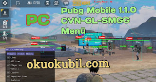 Pubg Mobile 1.1.0 CVN-GL-SMGG Menü Gameloop ESP Hilesi PC