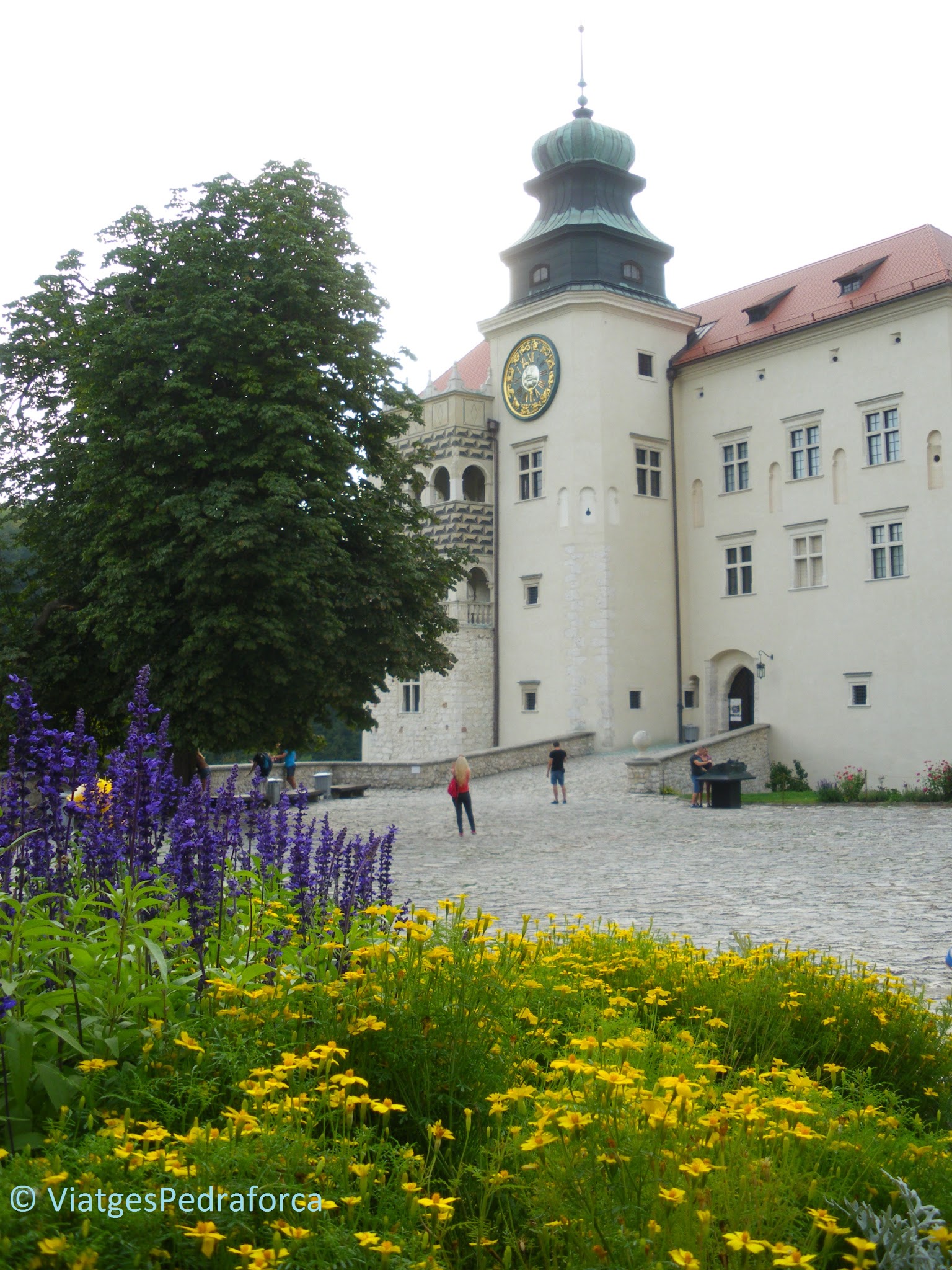 Zamek Pieskowa Skala, Ruta dels Nius d'Àliga, Polònia medieval, castells medievals, els millors castells d'Europa