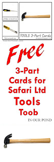 FREE 3-Part Cards for Safari Ltd Tools Toob from In Our Pond
